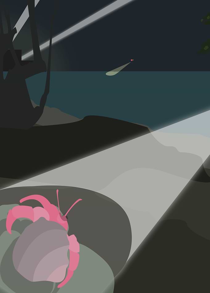 Hermit Crab on the Run