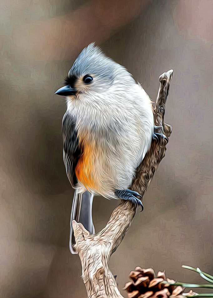 Bird