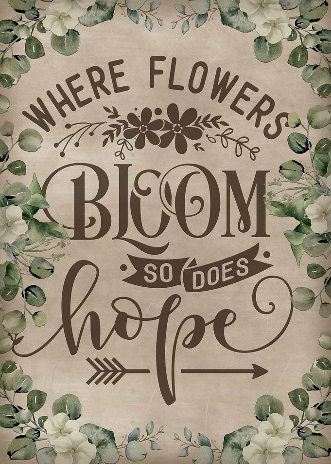 Where flowers bloom