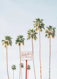 Aloha Hotel