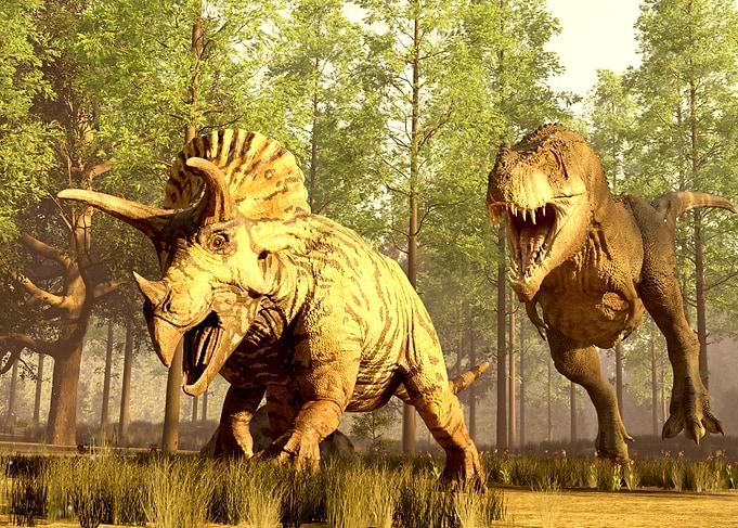 Triceratops hunting