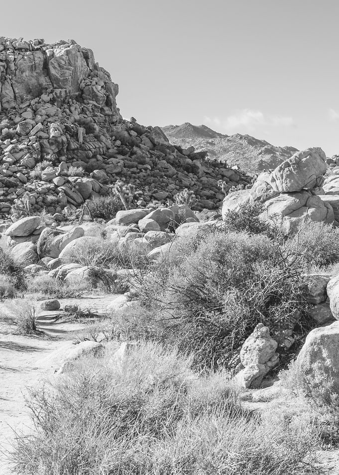Joshua Tree Hiking Trail