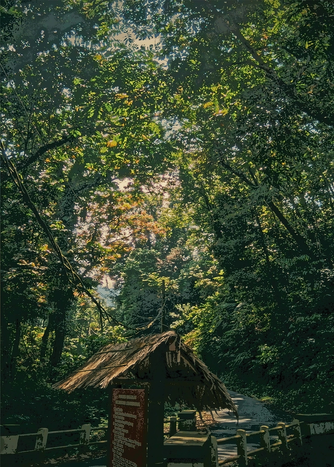 Nature