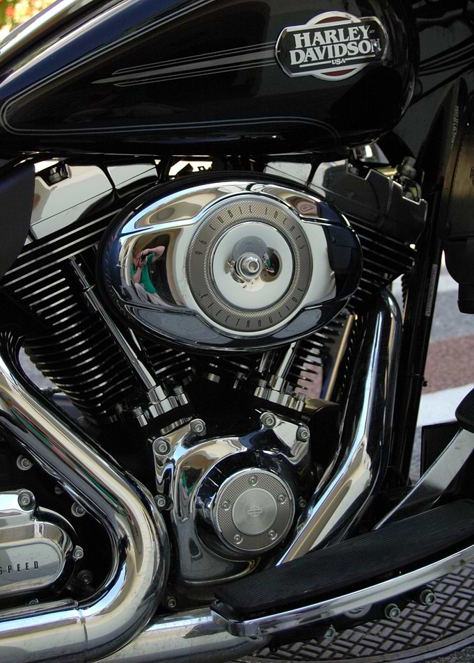 Custom Bike