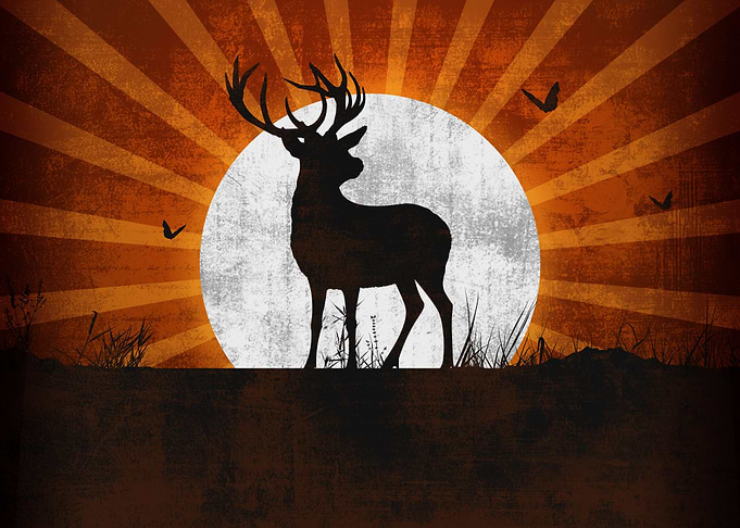 Deer V1