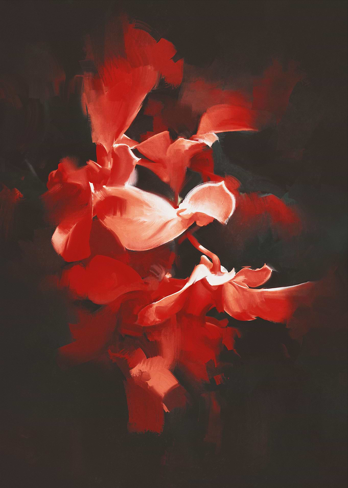 beautiful red flowers
