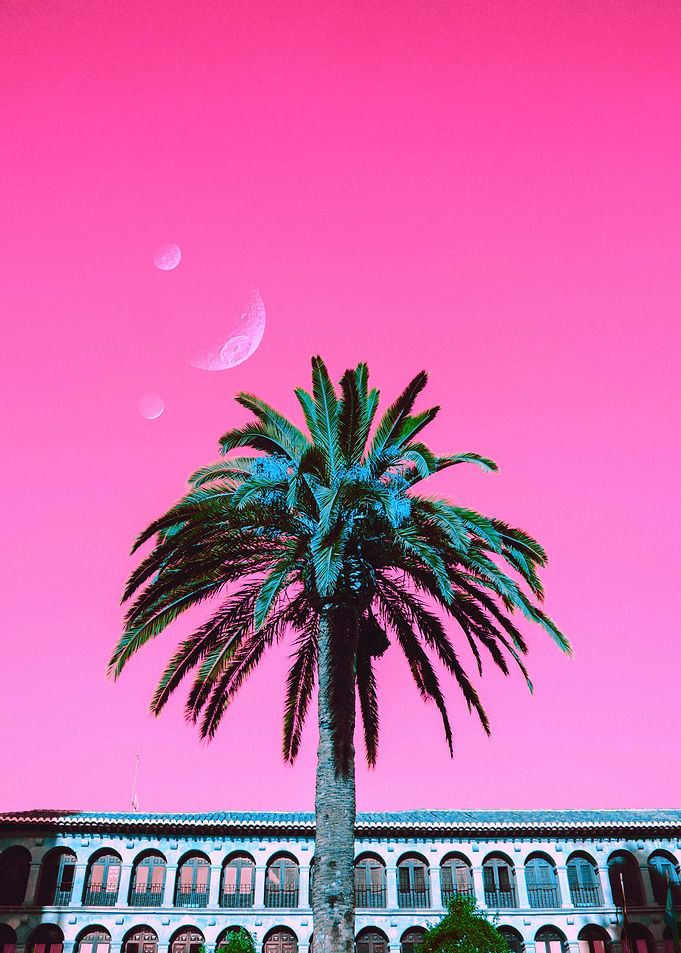 Morning Vibes