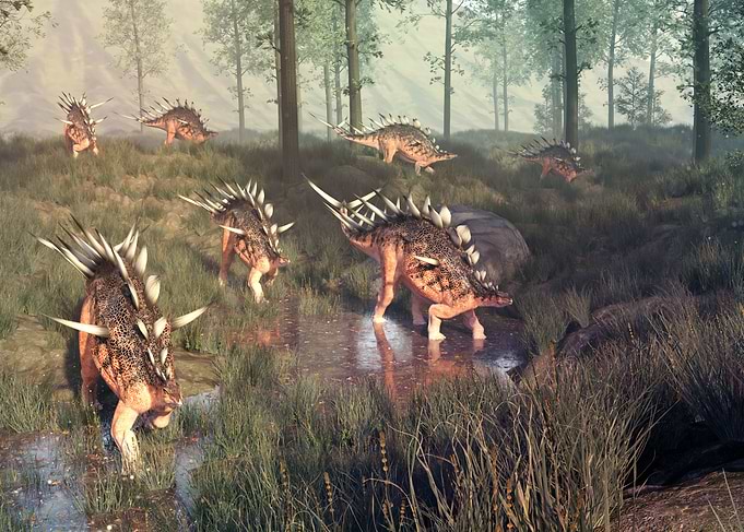 Stegosaurus dinosaurs