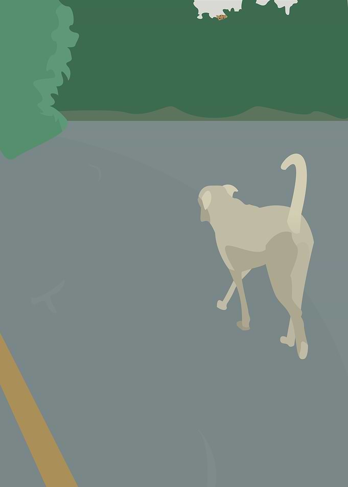 Dog and Leopard