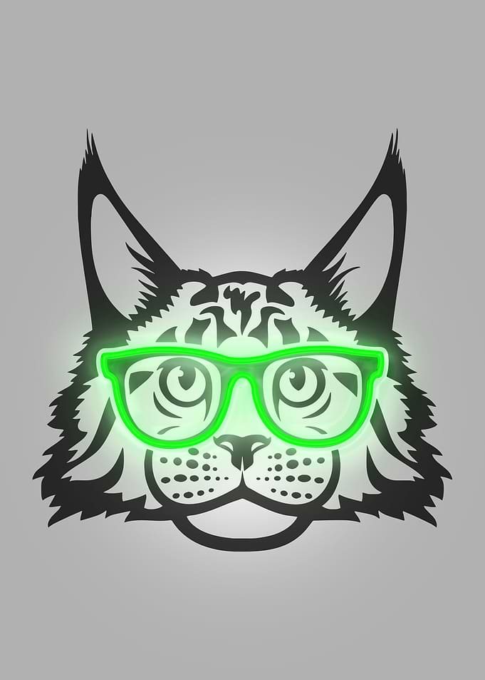 Cat maine coon in glasses