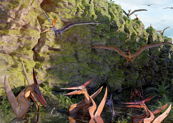 Pterodactyl dinosaurs