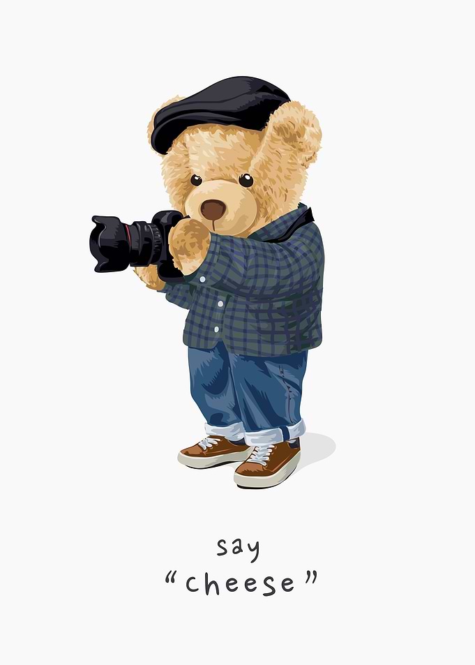 Bear doll photographer