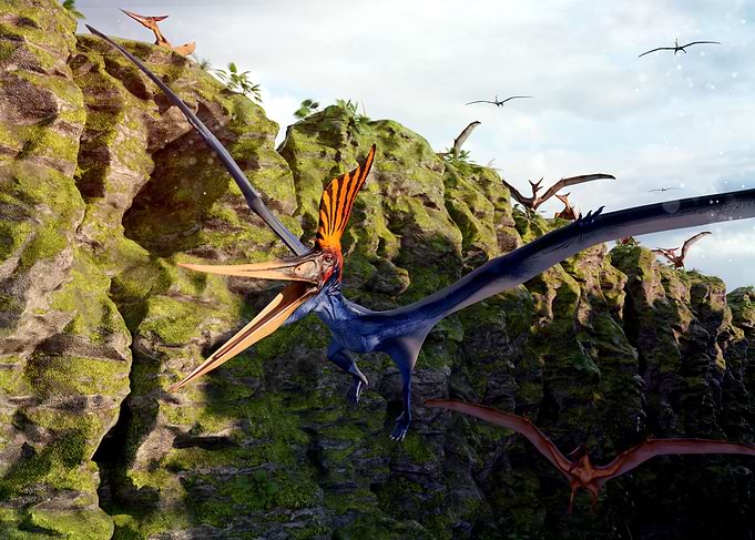 Pterodactyl dinosaur