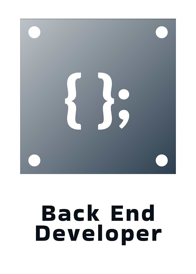Back End Developer