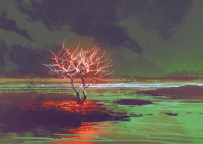 Night landscape