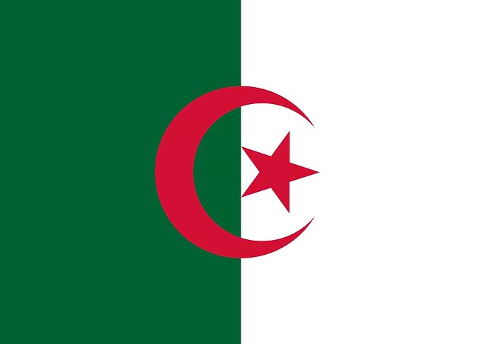 Algerian Flag of Algeria