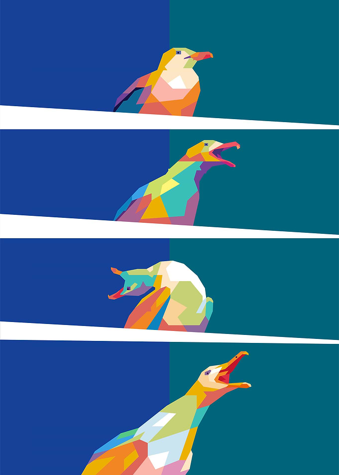 Bird Meme