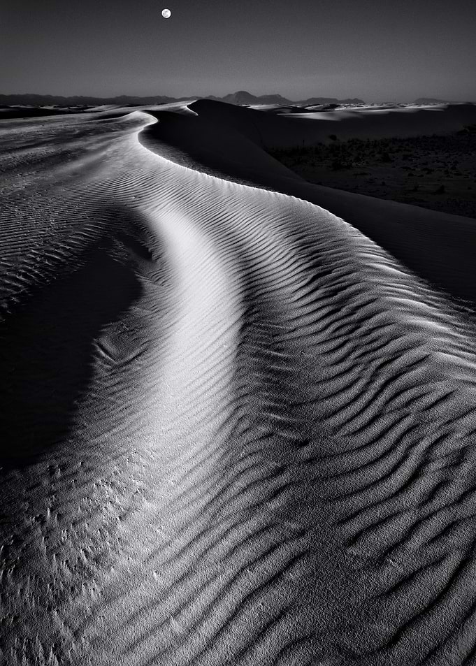 Desert Dreams