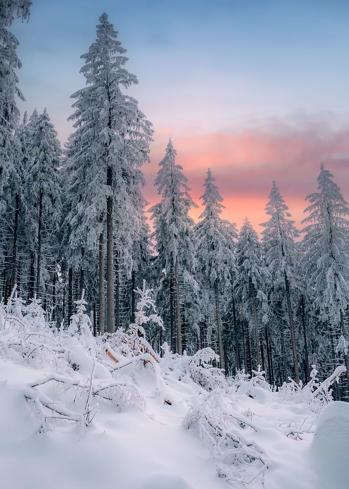 Winter sunset