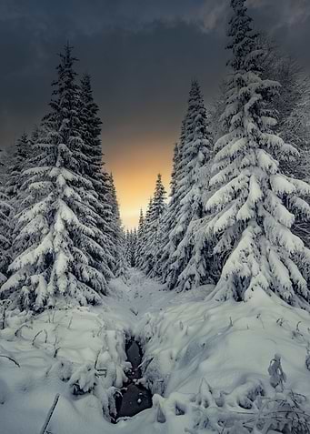 Winter is here