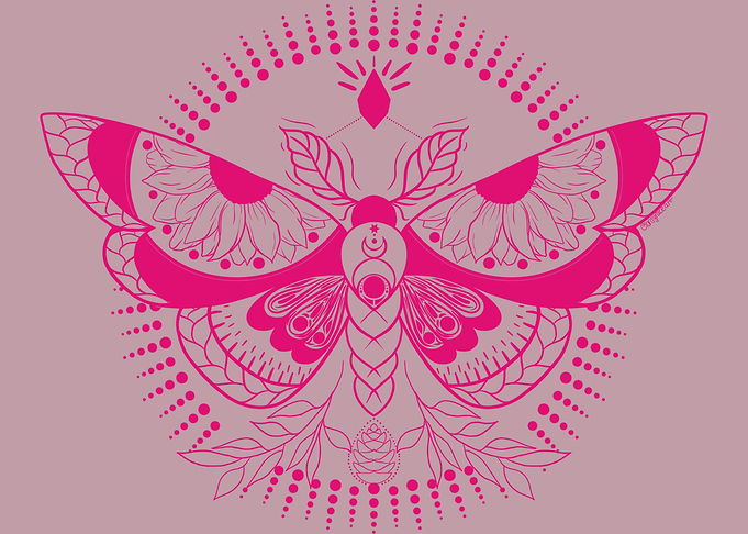 Pink Lunar Moth
