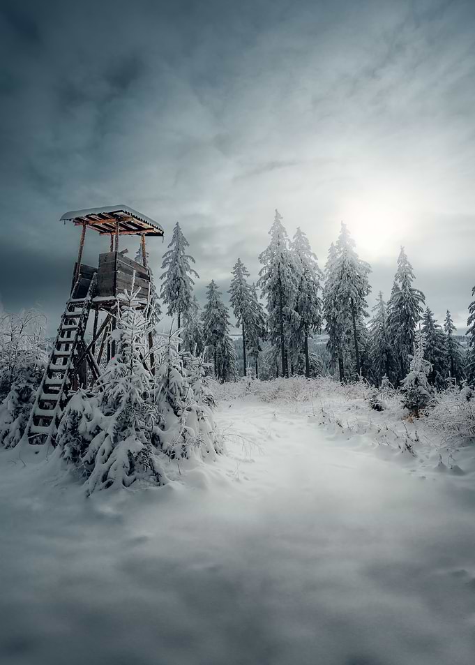 Dreamy Winter