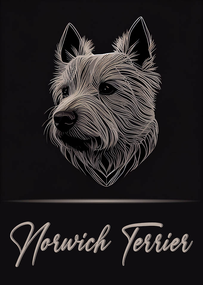 Cute Norwich Terrier