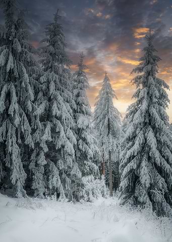 Moody winter