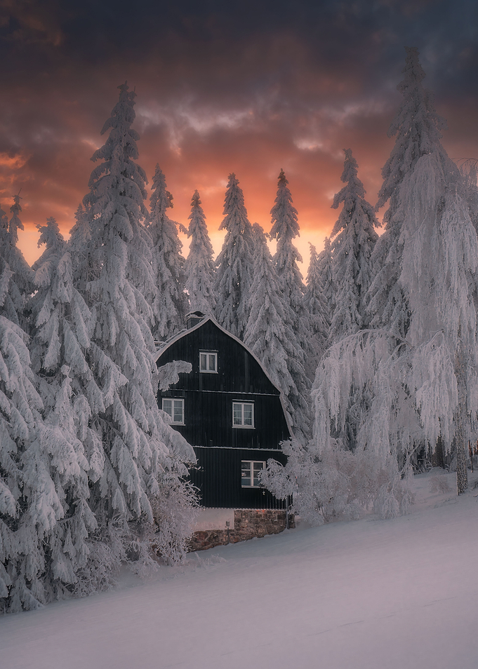 Winter mood