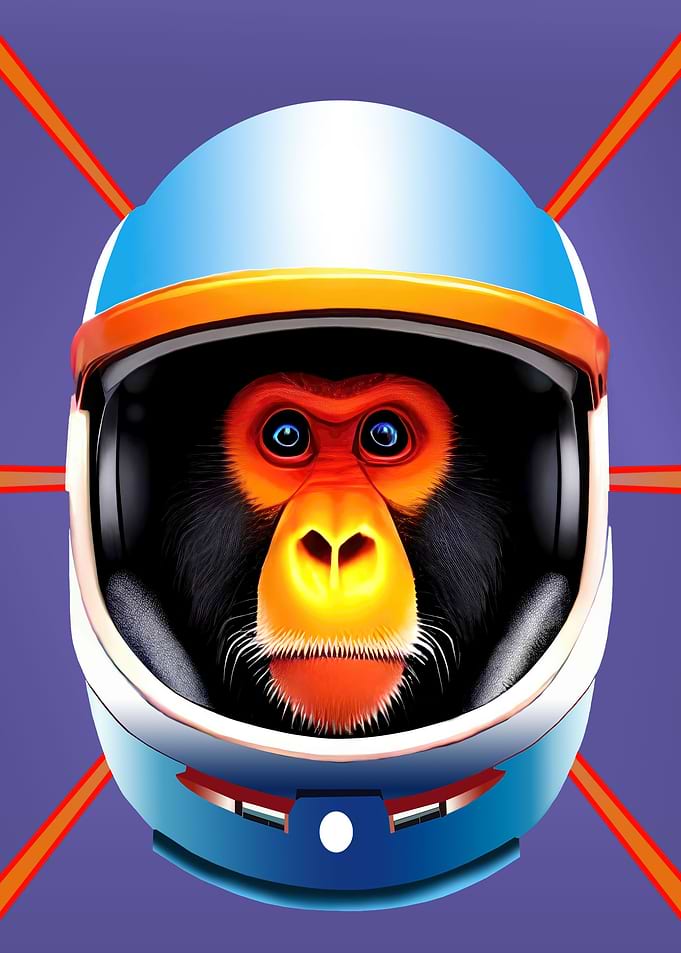 space monkey 1