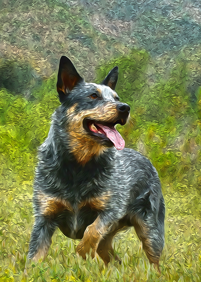 Dog