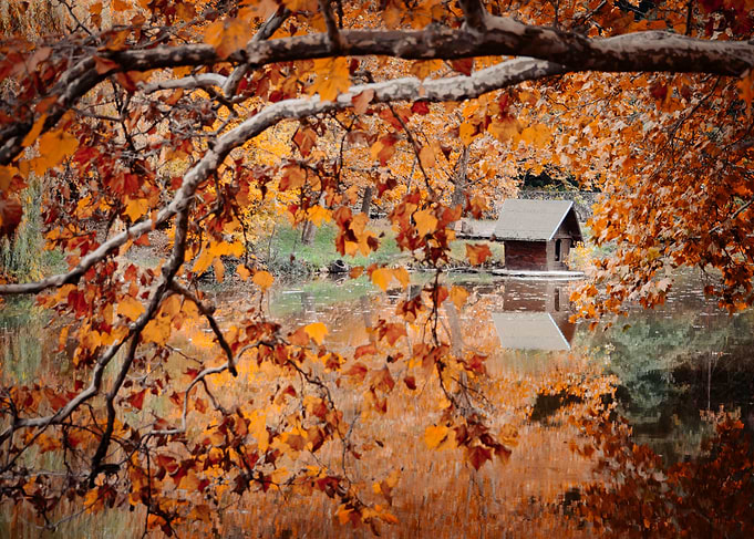Autumn