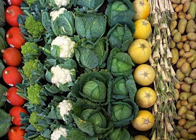 vegetable