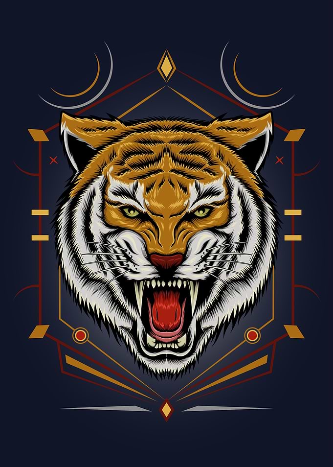 Tiger head illustration