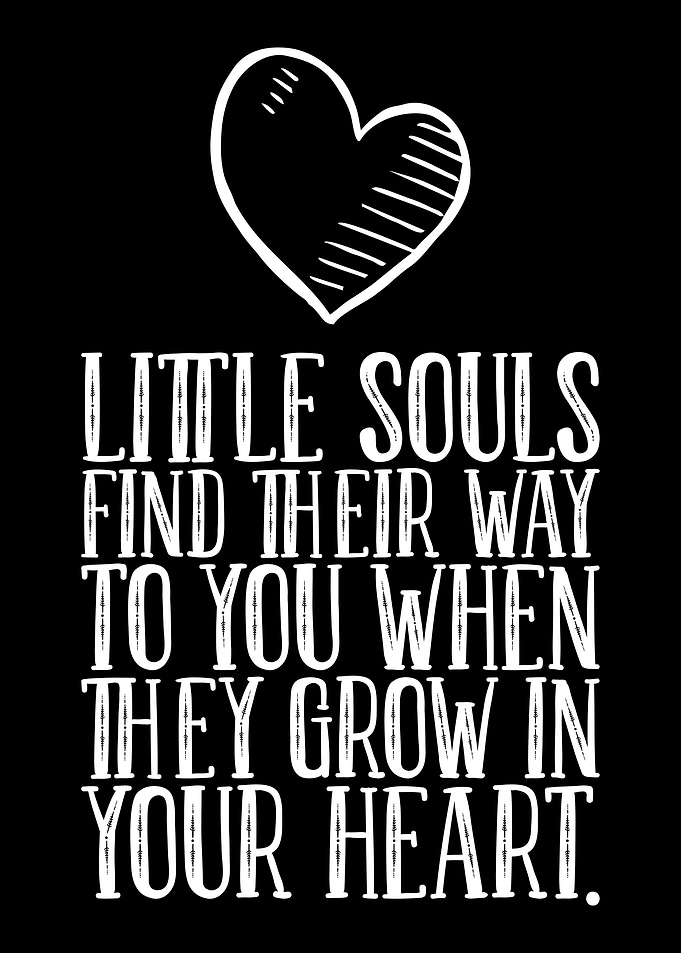 Little Souls Find Their