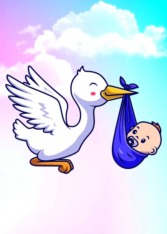 Stork
