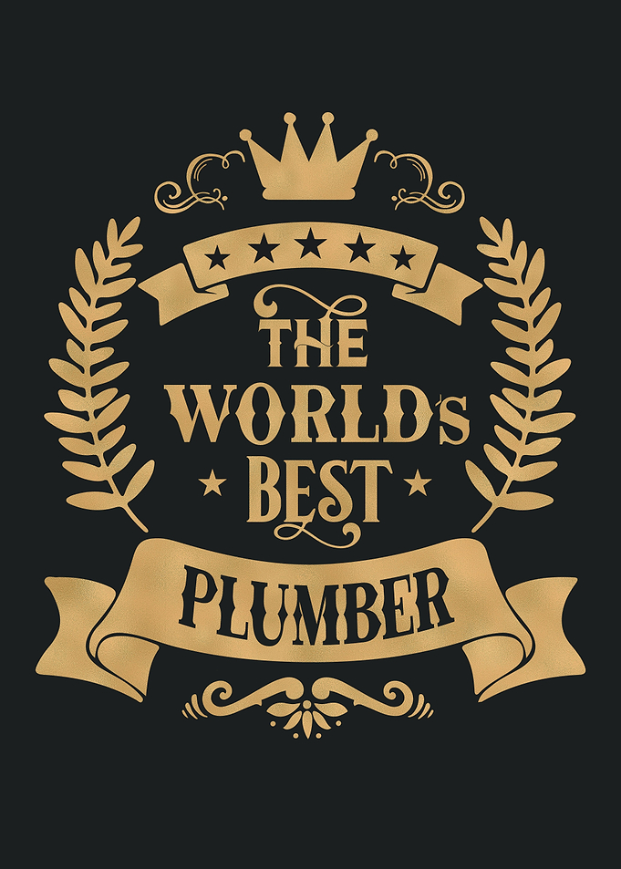 World Best Plumber