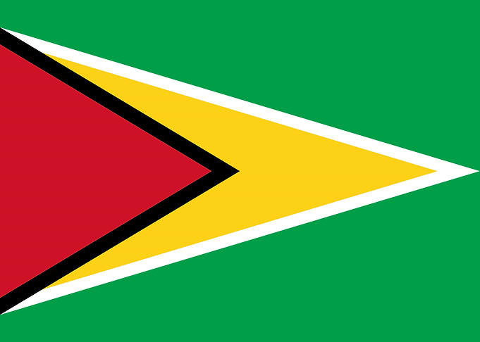 Flag of Guyana