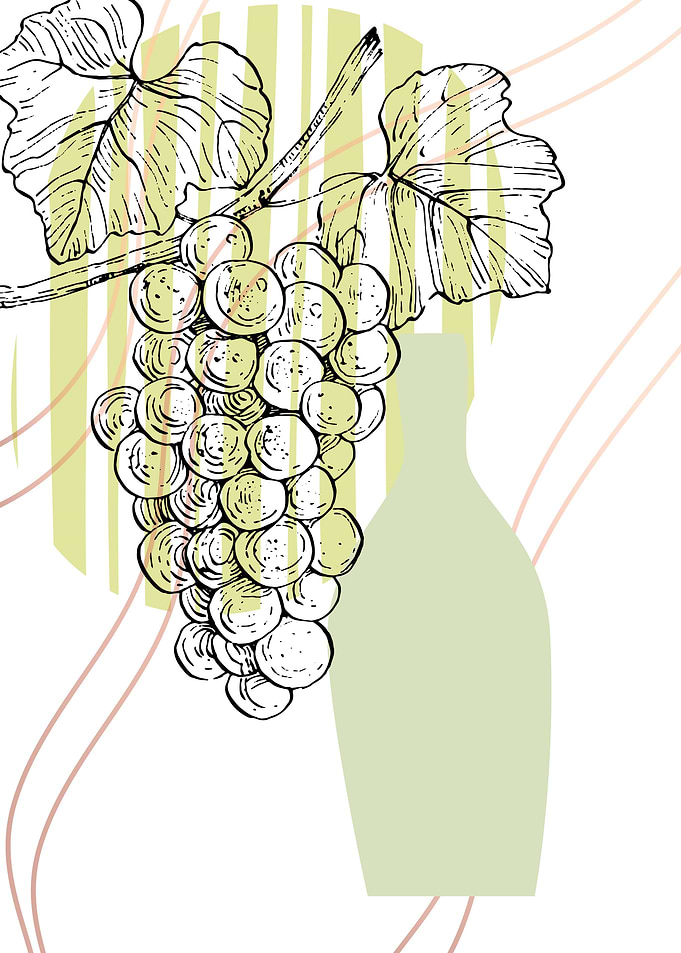 Grape