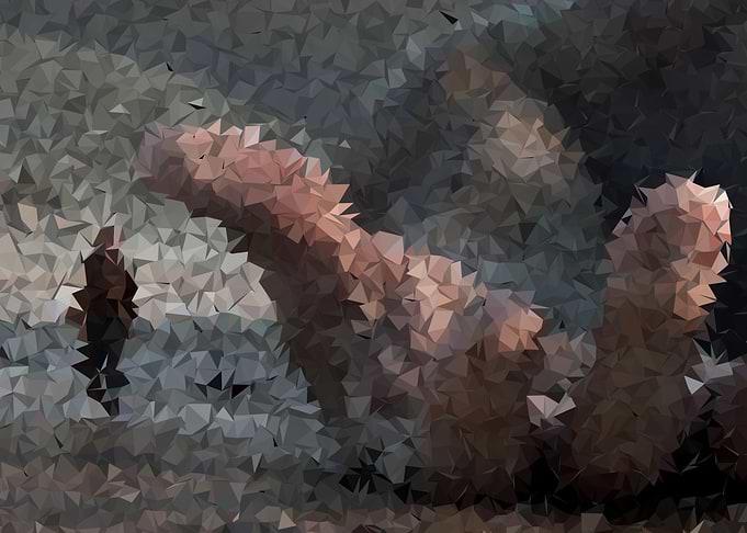 Fascination