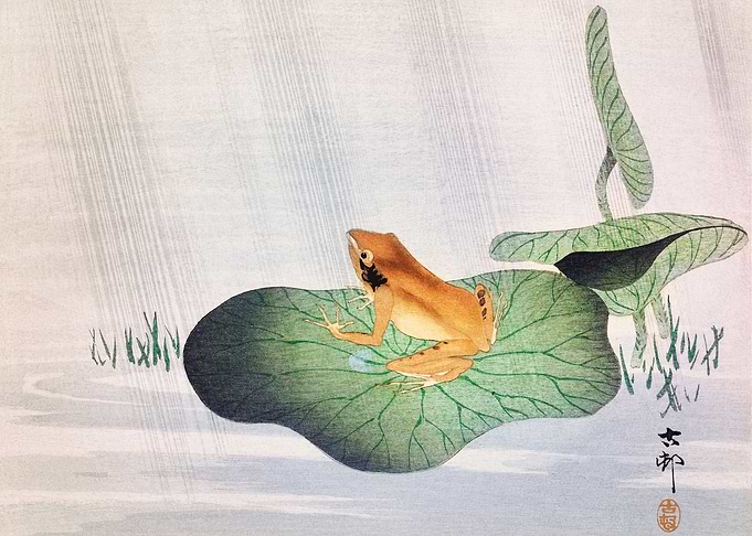 Frog On Lotus Leaf