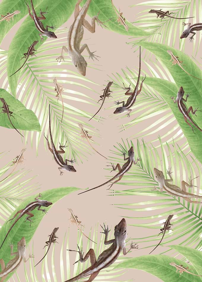 Gecko Jungle Dream 1