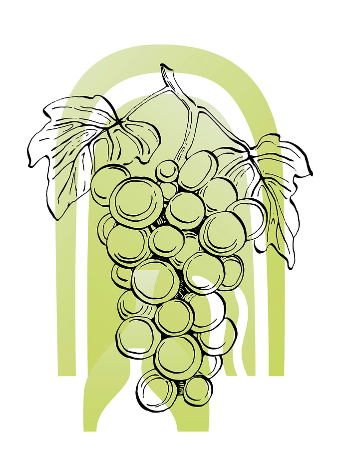 Grape Neutral Abstract