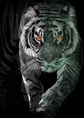 Eyes of Fury