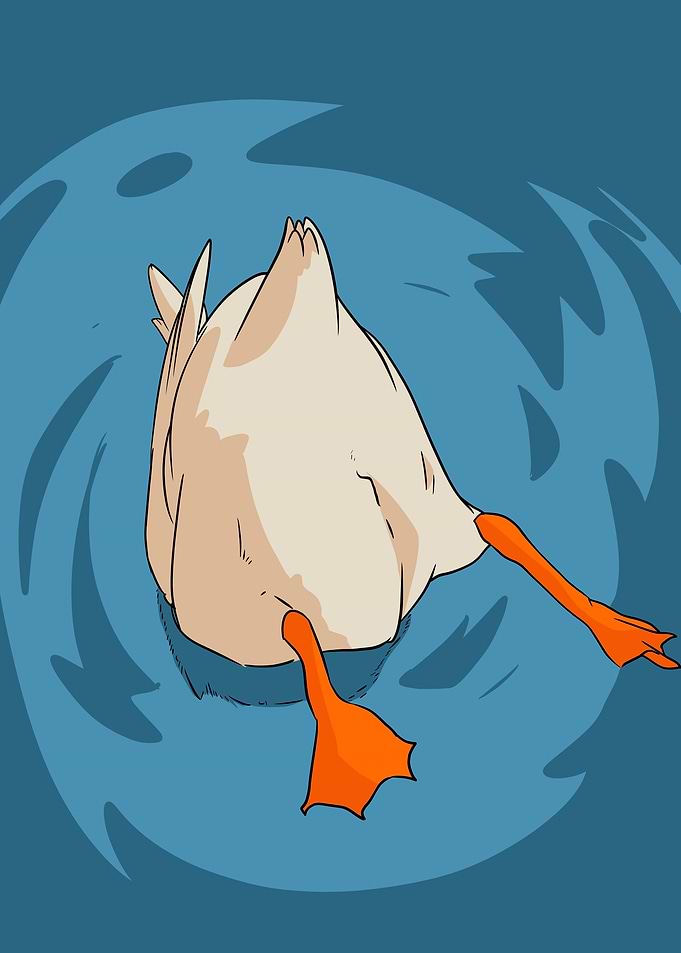 duck ass