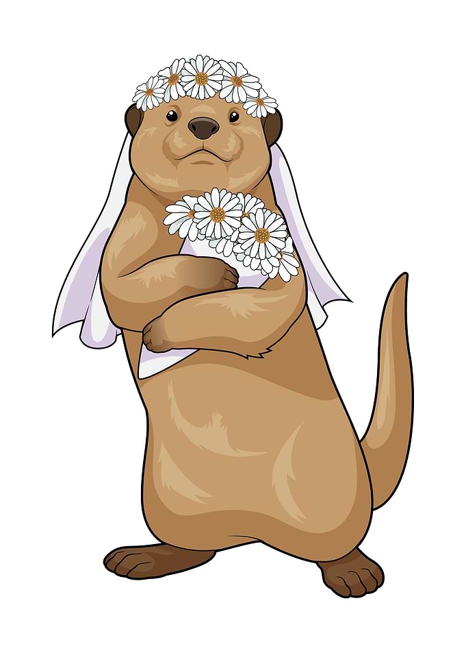 Otter Bride Wedding