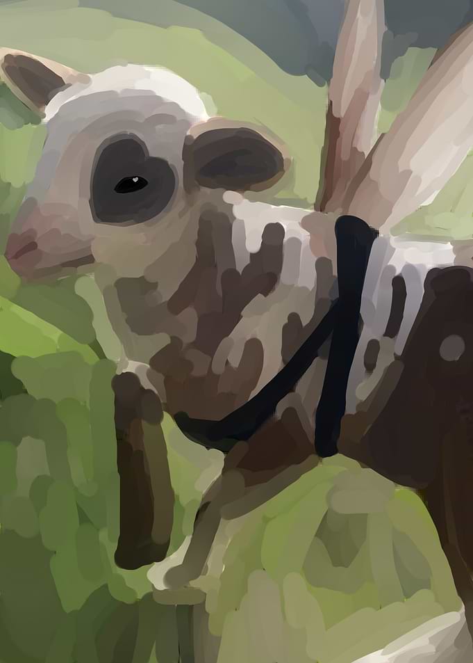 a cow butterfly