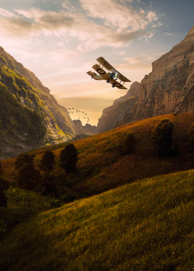 Sunset Flight