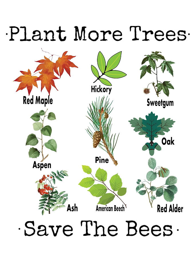 More Trees Save The Bees