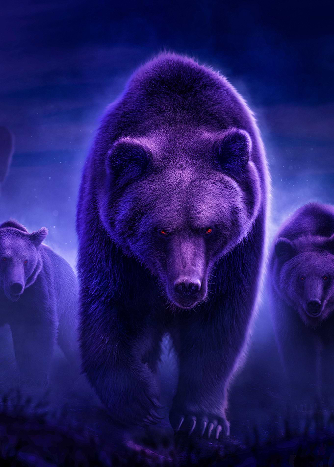 Blue Night Bear